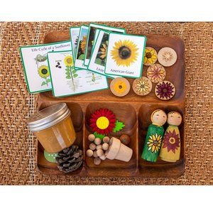 Montessori Life Cycle, Waldorf Toys, Wood Toys